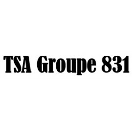 TSA Groupe 831