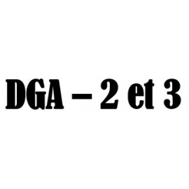 DGA - 2e cycle